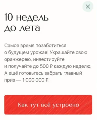 10 недель до лета