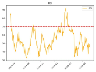 SPBE_rsi