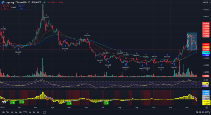 Loopring тех картина