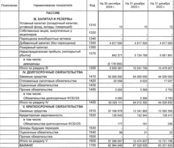 X5 Group капитал и долг