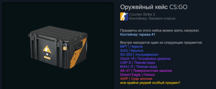 Weapon Case