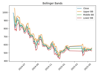 CNRU_boll