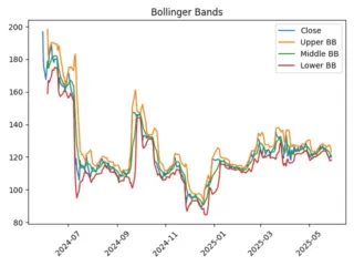 EUTR_boll
