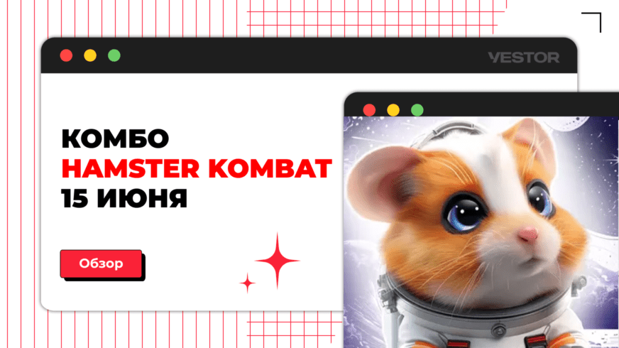 Хомяк 13 число комбо
