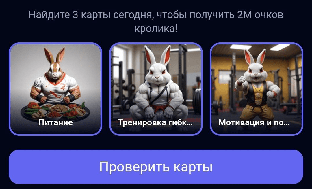 Rocky rabbit комбо август