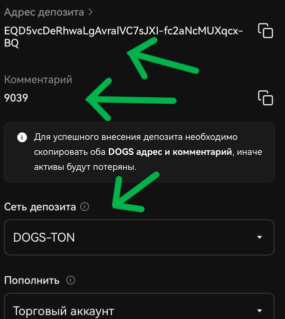 memo при депозите DOGS