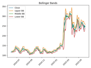 SPBE_boll
