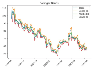 ROST_bollinger