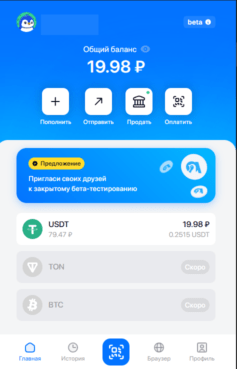 Как работает Antarctic Wallet: пошагово