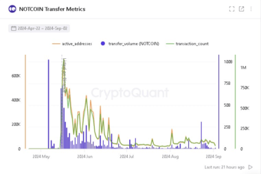 Transfer metrics Notcoin NOT