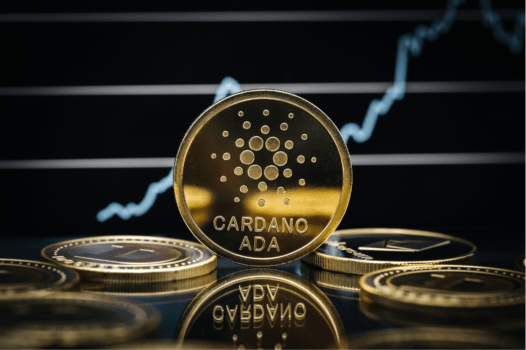 Cardano