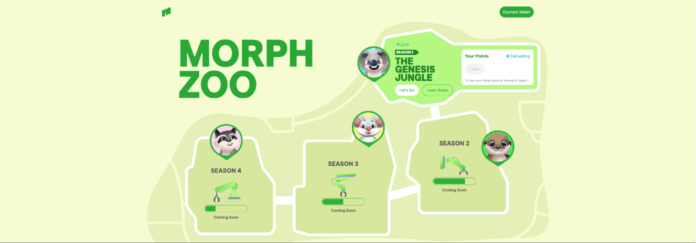 MORPH участие в аирдропе