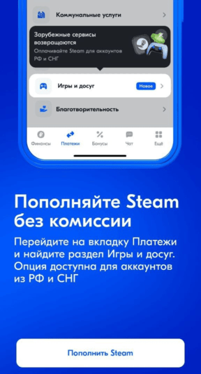 озон пополнение стим