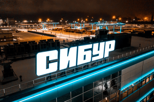 сибур дого
